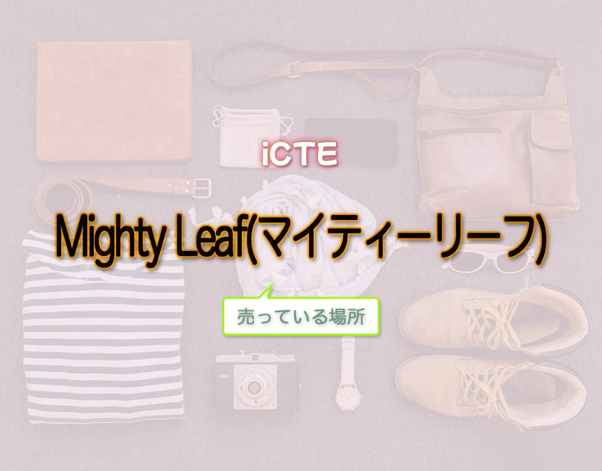 「Mighty Leaf(マイティーリーフ)」はどこで売ってる？