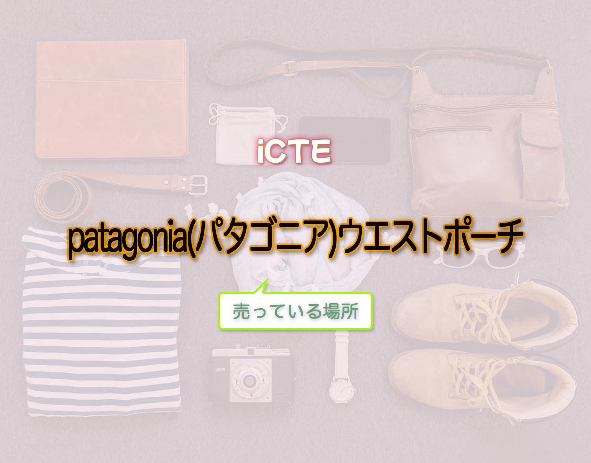 「patagonia(パタゴニア)ウエストポーチ」はどこで売ってる？